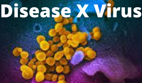 Disease X Virus