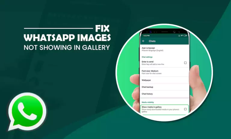 How To Resolve “WhatsApp Images Not Showing in Gallery”?