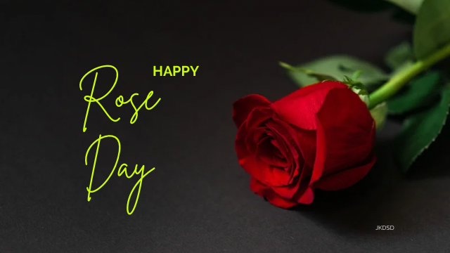 Happy Rose Day 2023 Images, Photos & Pictures: Download Now!