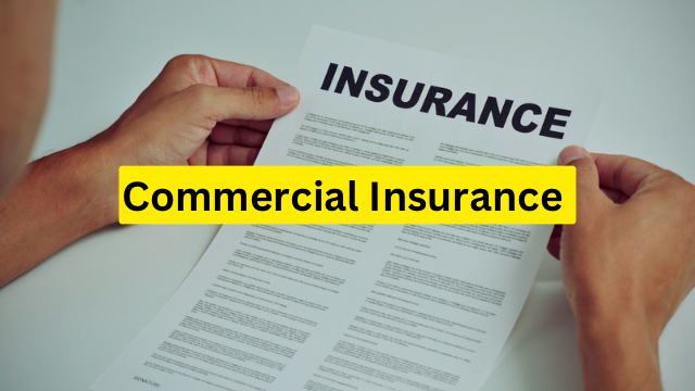 Commercial Insurance 2023