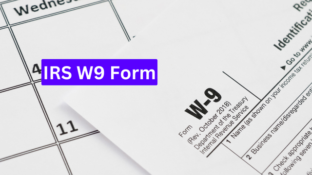 IRS W9 Form 2024 – Guide for Businesses and Individuals!