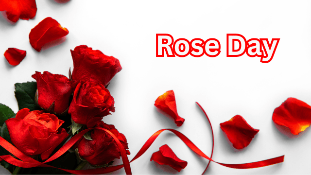 Rose Day 2024 Date, Wishes, Images, Quotes, Messages and Significance 