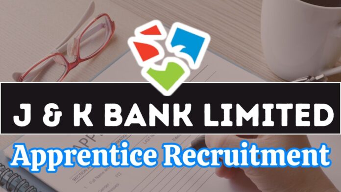 J & K Bank Apprentice Recruitment