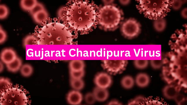 Gujarat Chandipura Virus