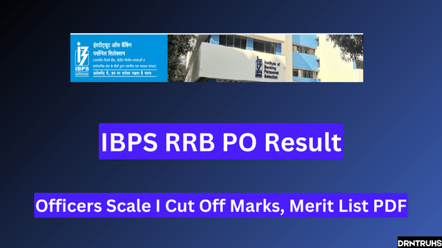 IBPS RRB PO Result 2024 (Today) Officers Scale I Cut Off Marks, Merit List PDF 