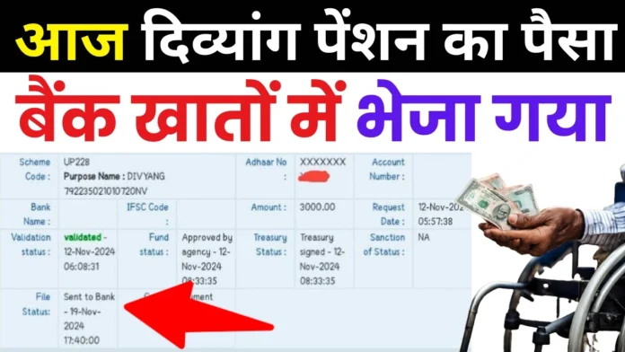 आज 19 नवम्बर को दिव्यांग पेंशन का पैसा 3000 रुपये खाते में डाला गया : UP Divyang Pension Payment New Update