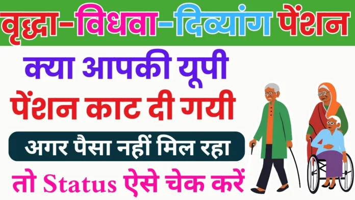 क्या आपकी यूपी पेंशन काट दी गयी ऐसे ऑनलाइन पता करें : How to Check UP Pension Stop Status