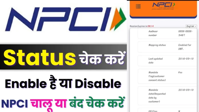 NPCI Enable Disable Status Check : एनपीसीआई चालू है या नहीं ऑनलाइन ऐसे चेक करें 2024, सरकार ने शुरू किया नया पोर्टल