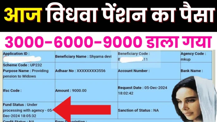 आज विधवा पेंशन का पैसा फिर से डाला गया 3000-6000-9000 रुपये : New Widow Pension Payment Release