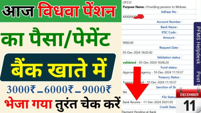 आज विधवा पेंशन का पैसा बैंक खाते में 3000 भेजा गया, जल्दी चेक करें : UP Vidhwa Pension Send Payment