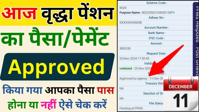 आज वृद्धा पेंशन का पैसा Approved किया गया जल्दी चेक करें : UP Vridha Pension New Payment Approved