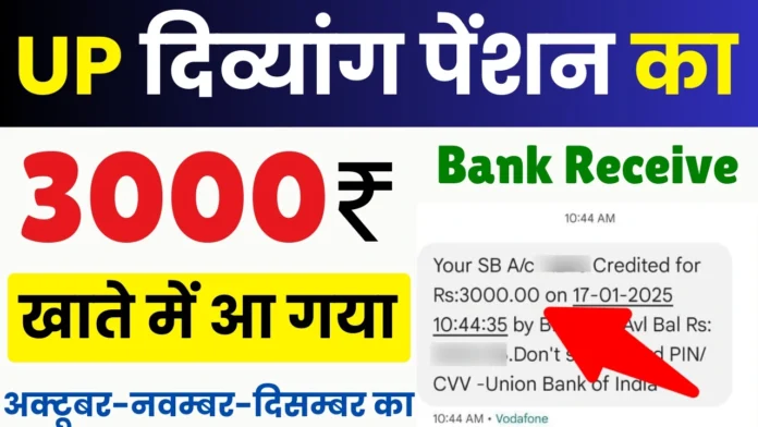 दिव्यांग पेंशन का पैसा बैंक खाते में आना शुरू : UP Divyang Pension Send to Bank Account