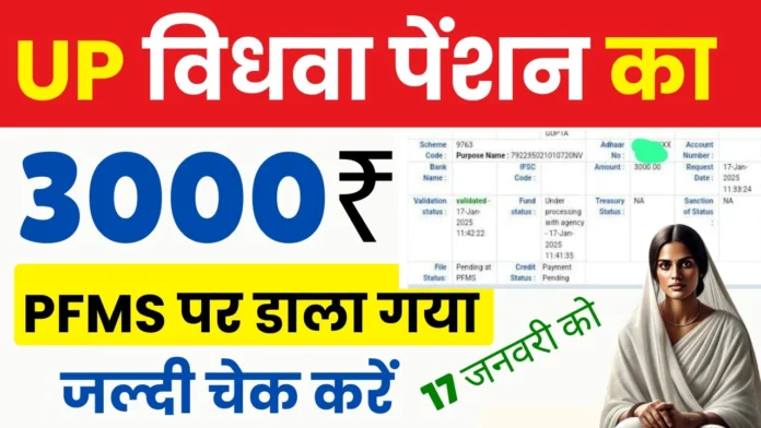 आज विधवा पेंशन का पैसा डाला गया 3000-6000-9000 रुपये : UP New Vidhwa Pension Kab Aaegi